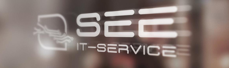 Apple iPhone Reparatur bei See-IT-Service